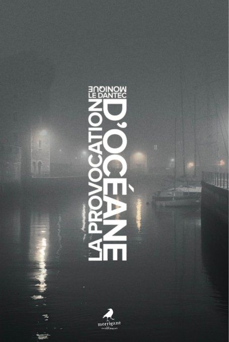 DISPONIBLE VERS LE 15 JUIN 2024 - LA PROVOCATION D'OCÉANE - Monique LE DANTEC